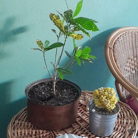 فندق Ωρεοι لوترا إديبسو المظهر الخارجي الصورة